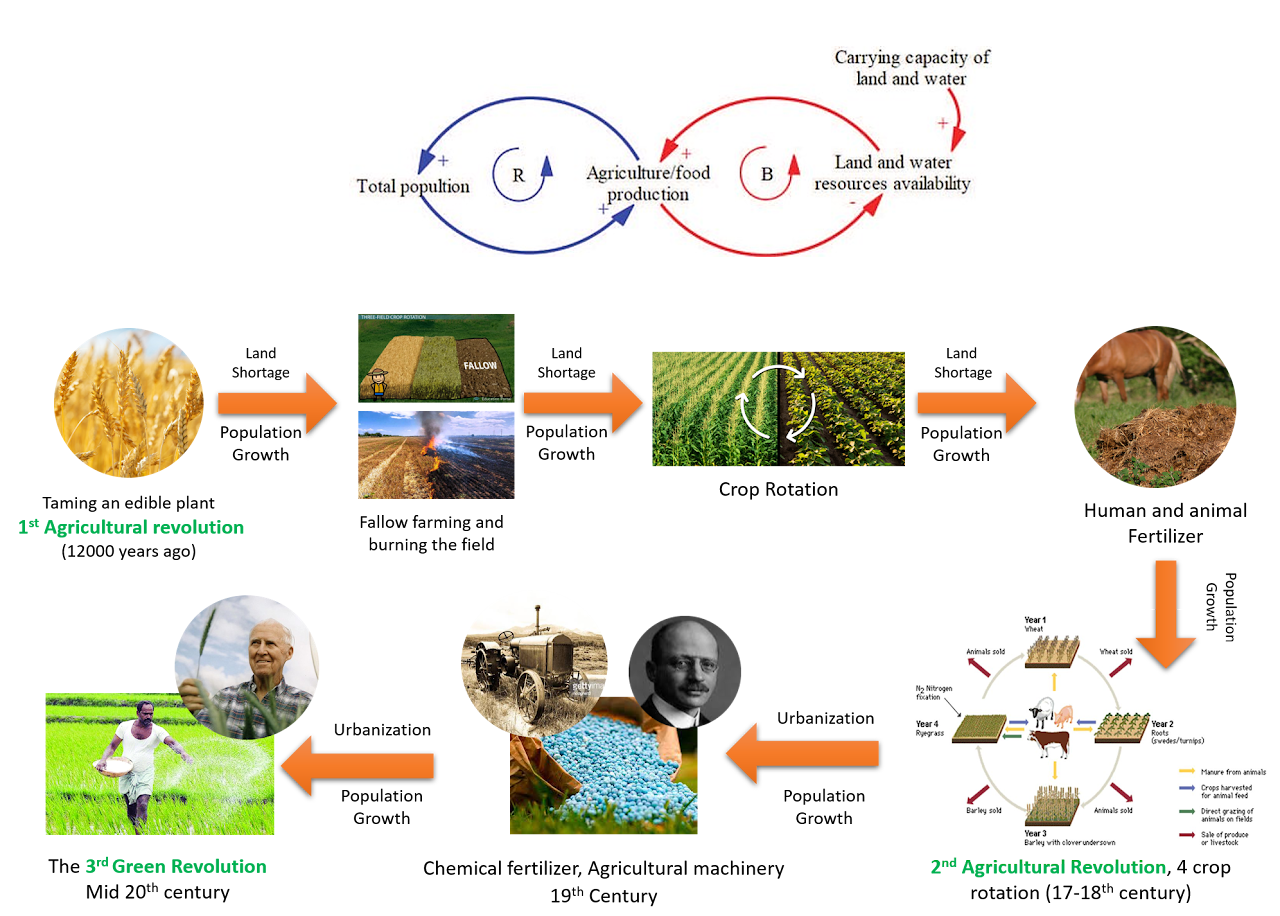 My diagram linking population, food production, land and water constraints, followed by agricultural innovations from crop rotation to fertilizer and the Green Revolution.