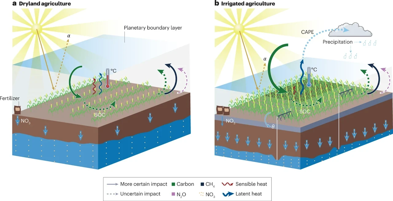 Two cutaway diagrams, dryland and irrigated farmland, comparing their exchanges of water, energy, carbon and nitrogen with the atmosphere and the ground below.