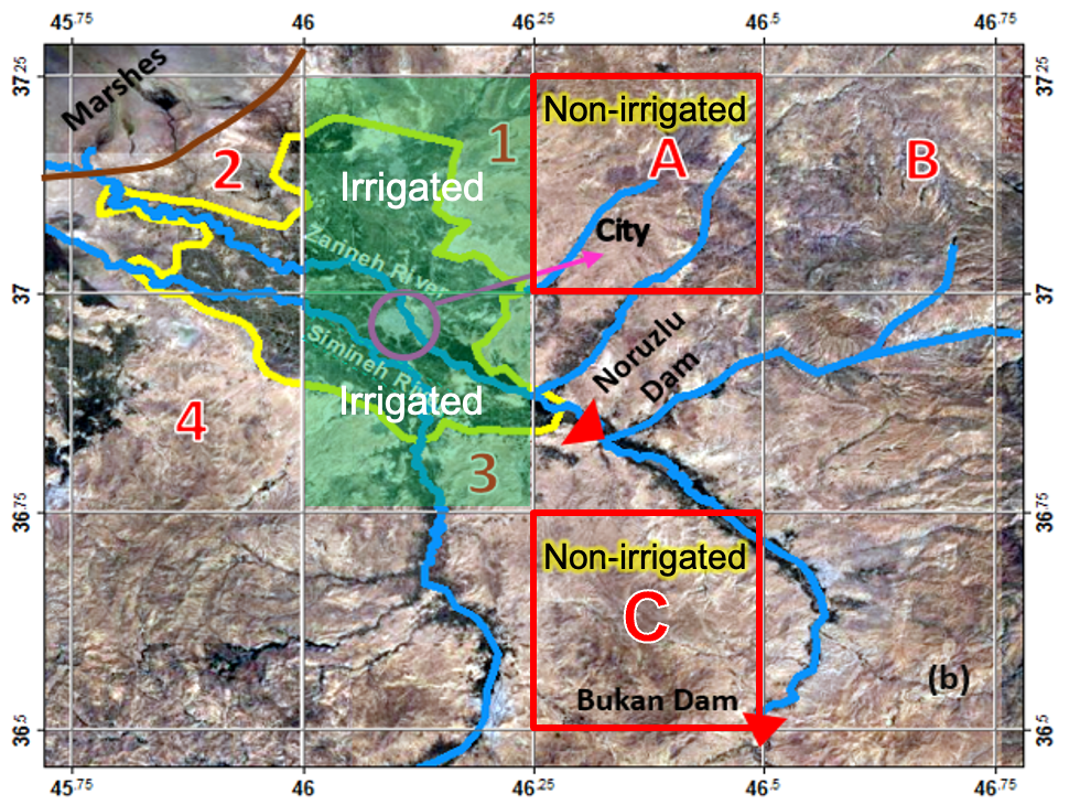 Irrigated and non-irrigated pixels in the 2019 study area, south of Lake Urmia.